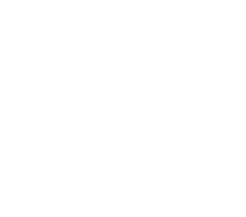 Future Consultancy