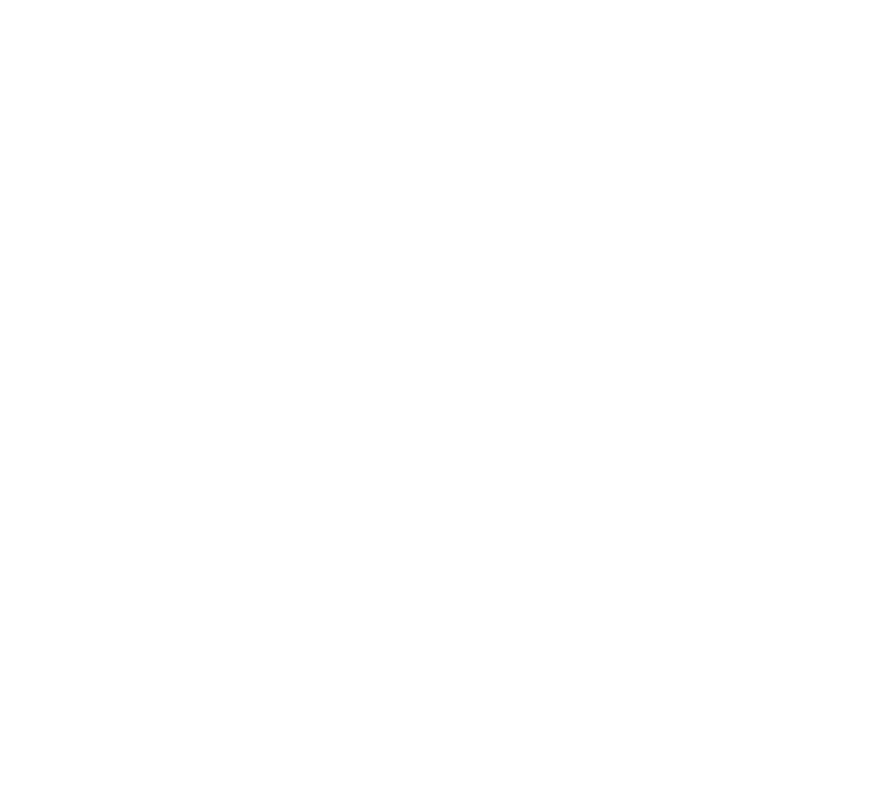 Telecom Egypt